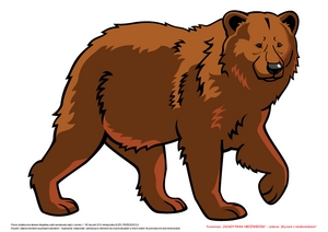 Zasady Pana Niedźwiedzia, cz. 2 (PD)