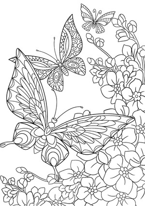  Kolorowanka – Motyle (PD)