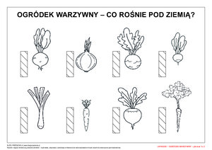 Lapbook - Ogródek warzywny