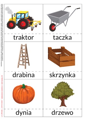 Na tropie liczb - zestaw