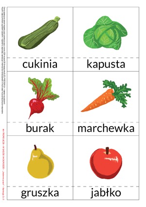 Na tropie liczb - zestaw