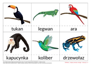 Na tropie liczb - zestaw