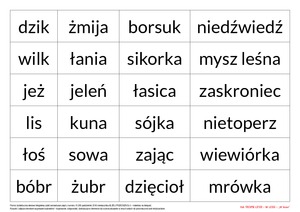 Na tropie liter - zestaw