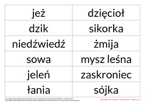 Na tropie liter - zestaw