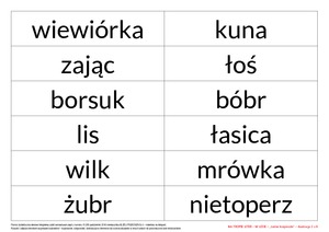 Na tropie liter - zestaw