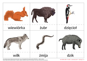 Na tropie liter - zestaw