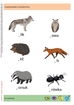 Na tropie liter - zestaw