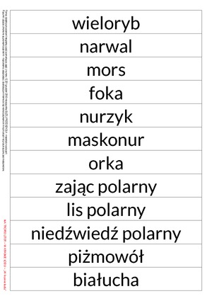 Na tropie liter - zestaw
