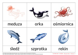 Na tropie liter - zestaw