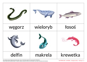 Na tropie liter - zestaw