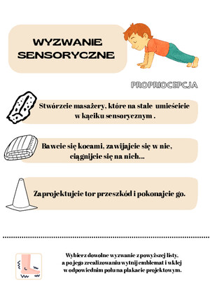 Wyzwanie sesnoryczne  PROPRIOCEPCJA