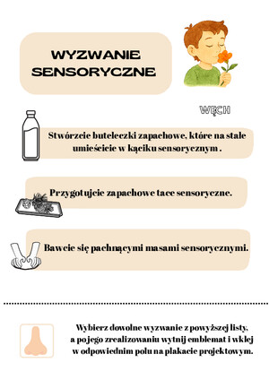 Wyzwanie sesnoryczne  WĘCH