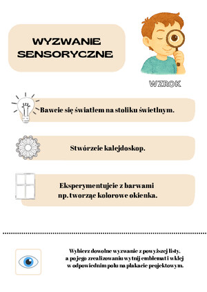 Wyzwanie sesnoryczne  WZROK