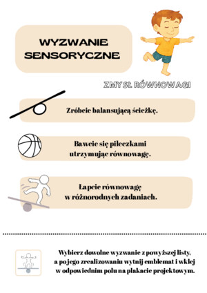 Wyzwanie sesnoryczne ZMYSŁ RÓWNOWAGI