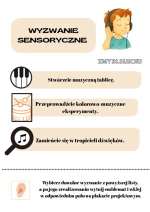 Wyzwanie sesnoryczne ZMYSŁ SŁUCHU