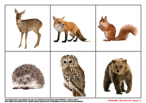 Zabawy z językiem angielskim - zestaw na cały rok