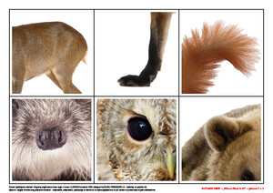 Zabawy z językiem angielskim - zestaw na cały rok