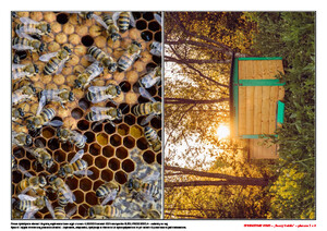 Zabawy z językiem angielskim - zestaw na cały rok