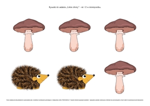 Zbiory grzybów (PD) 