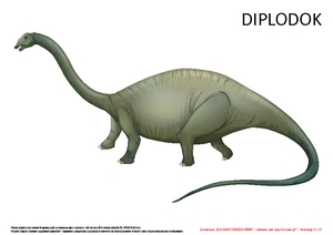Śladami dinozaurów, cz. 2 (PD)
