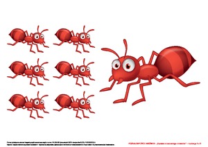 Poznajemy życie mrówek, cz. 1 (PD)