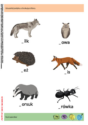 Na tropie liter (PD)