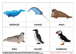 NA TROPIE LITER – W KRAINIE LODU, cz. 2 (PD)