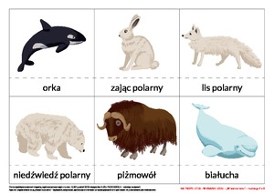 NA TROPIE LITER – W KRAINIE LODU, cz. 2 (PD)