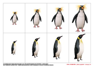 Zima u pingwinów, cz. 1 (PD)