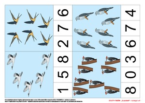 Odloty ptaków, cz. 2 (PD)