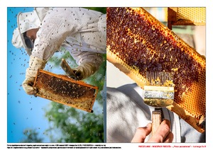  Pszczelarz – miłośnik pszczół, cz. 2 (PD)