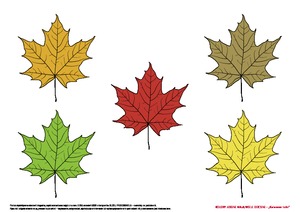 Kolory jesieni mają wiele odcieni, cz. 1 (PD)