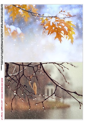 Kolory jesieni mają wiele odcieni, cz. 2 (PD)