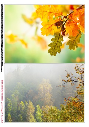 Kolory jesieni mają wiele odcieni, cz. 2 (PD)