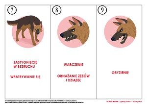 To moja kostka!, cz. 1 (PD)