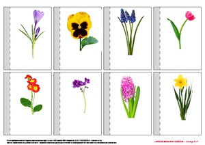 Wiosenny ogródek – lapbook (PD)