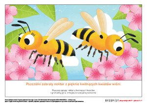 Rysopisy. Pszczółki, cz. 2 (PD)