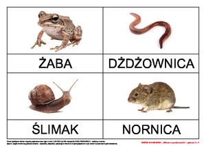 Goście w ogrodzie, cz. 2 (PD)