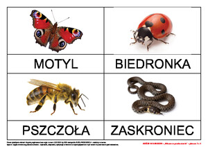 Goście w ogrodzie, cz. 2 (PD)