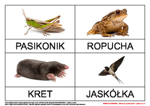 Goście w ogrodzie, cz. 2 (PD)