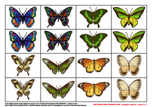 Motylkowe zabawy matematyczne, cz. 2 (PD)
