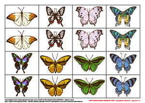 Motylkowe zabawy matematyczne, cz. 2 (PD)