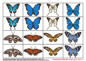 Motylkowe zabawy matematyczne, cz. 2 (PD)