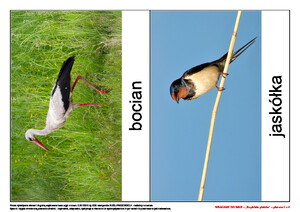 Wracamy do was!, cz. 2 (PD)