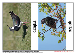 Wracamy do was!, cz. 2 (PD)