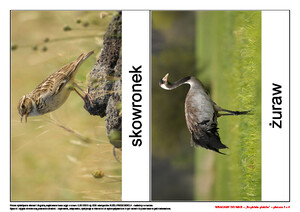 Wracamy do was!, cz. 2 (PD)