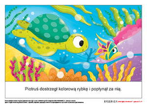 Pomoce obrazkowe ćwiczące mowę. W oceanie, cz. 2 (PD)