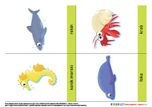 Pomoce obrazkowe ćwiczące mowę. W oceanie, cz. 2 (PD)