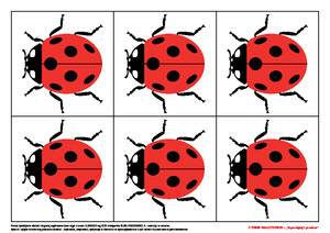 Z torby nauczycielki. Biedronkowy zakątek (PD)