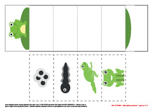 Ach, te żaby! Scenariusz zajęć z okazji Dnia Żaby, cz. 1 (PD)